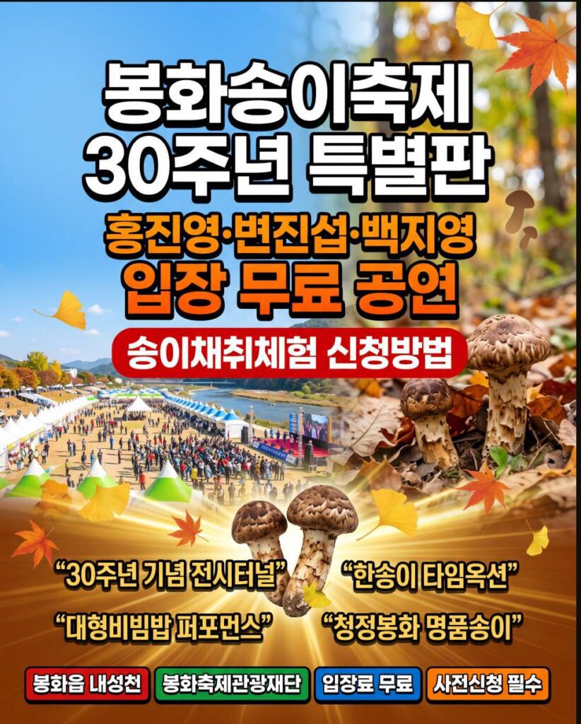 Visitors harvesting pine mushrooms directly in the autumn forest at the Bonghwa Pine Mushroom Festival