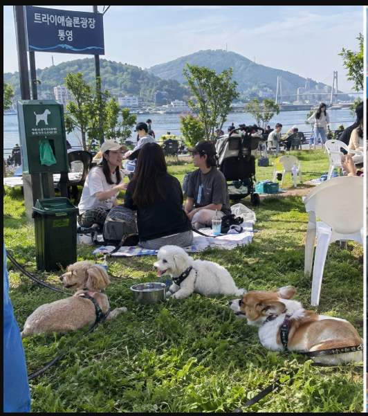 도남동 트라이애슬론광장에서 거리공연과 포토존을 즐기는 방문객 풍경