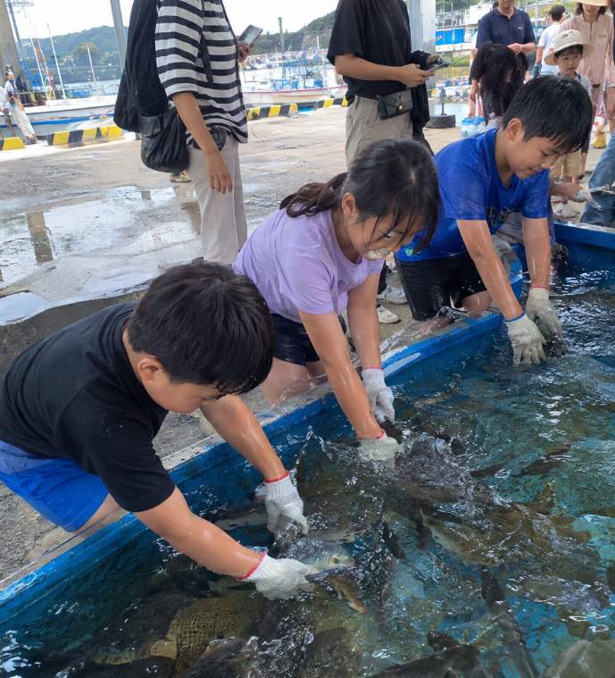 죽변항 수산물축제 맨손 활어잡기 체험장에서 물고기를 잡는 참가자 모습
